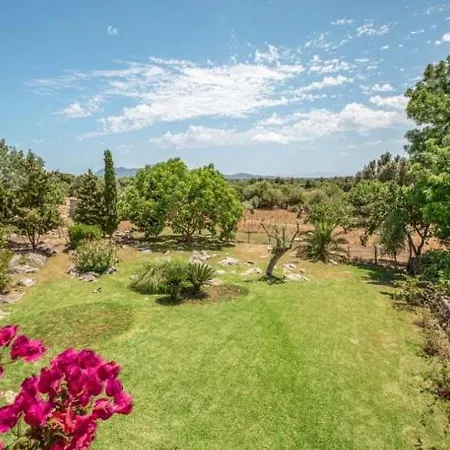 Villa Cami Morell